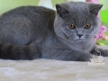img-20261009-wa0002