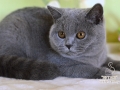 img-20261009-wa0004
