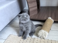 img-20261009-wa0005
