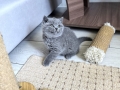 img-20261009-wa0007